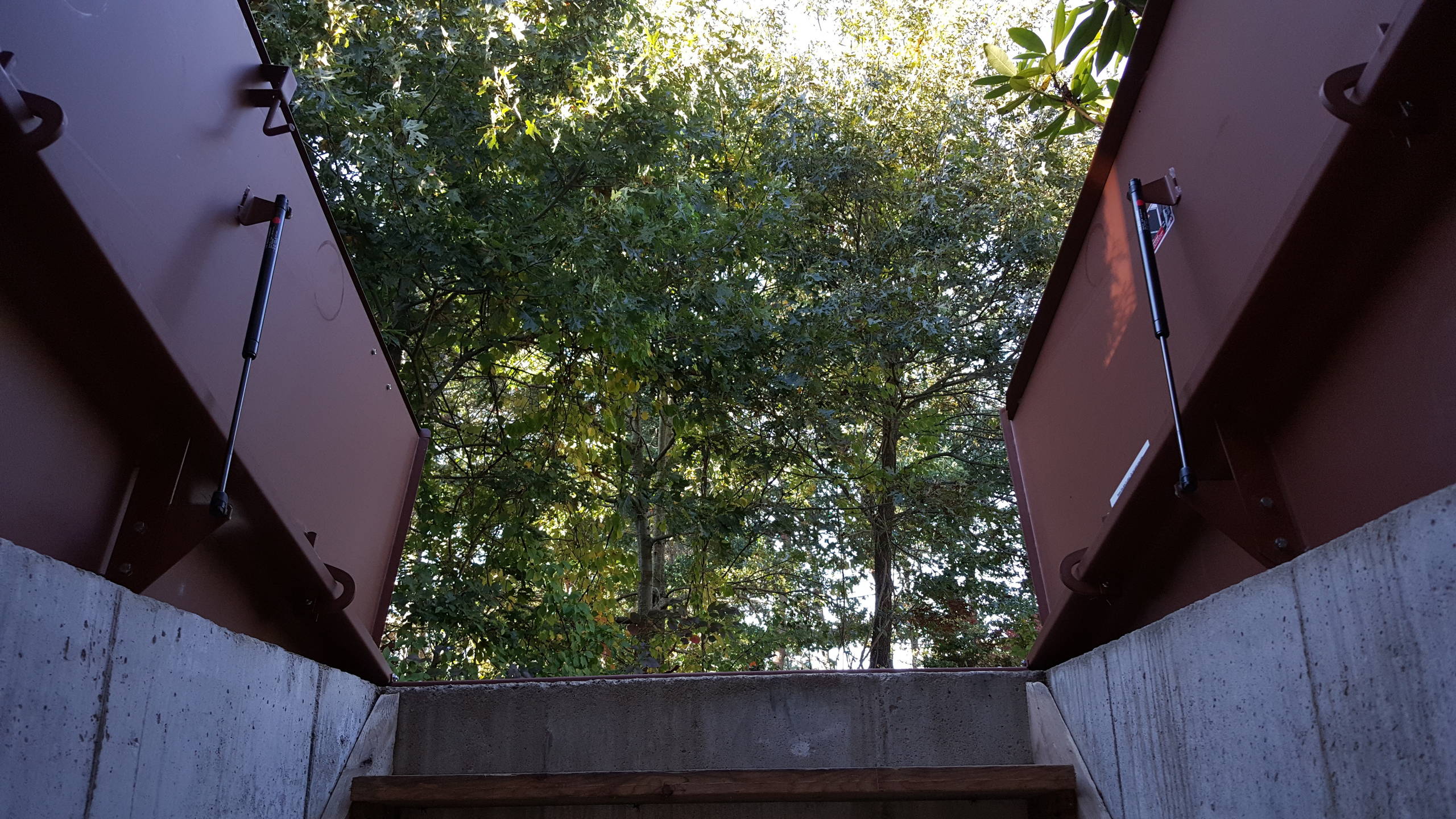 Bulkheads
