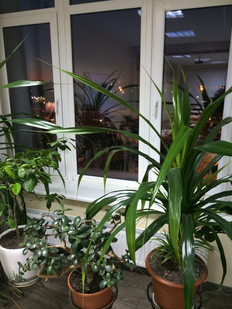 Аренда зала Киев