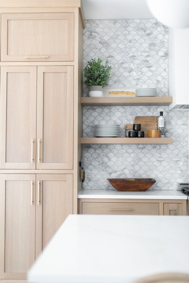 Inspiration for a transitional home design remodel in Chicago