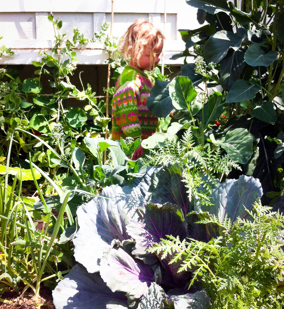 Design ideas for an eclectic backyard patio in Santa Barbara with a vegetable garden.