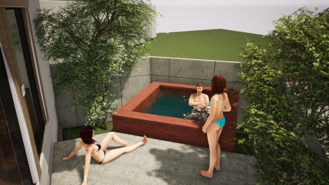 Crown Point modern-swimming-pool-and-hot-tub