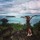 rachel_rachal34