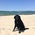 Last commented by Linda Comai