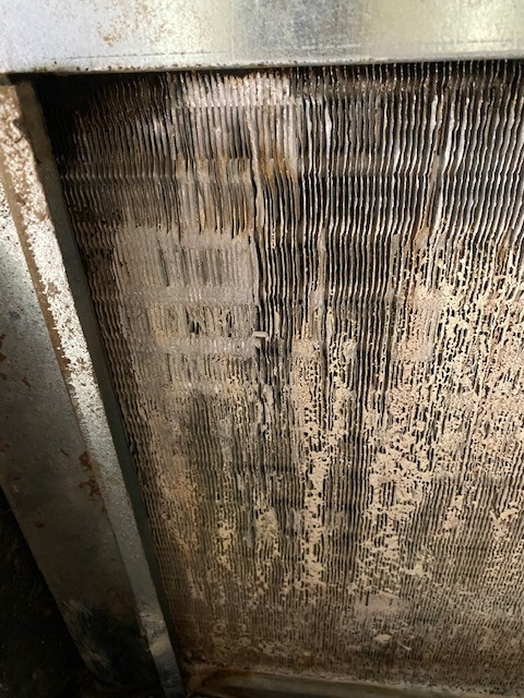 AC Coil Filthy Cleaned