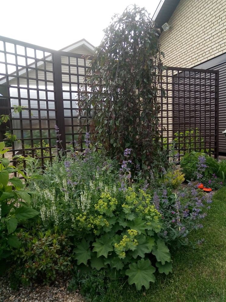 Зелёное удовольствие