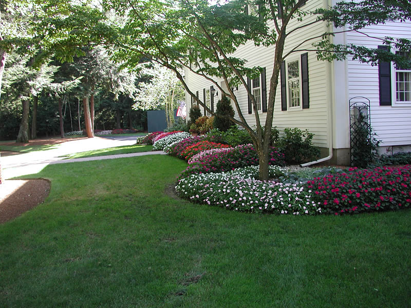 Different shades of new Ginny impatient. Designed and planted by  Peter Atkins and Associates