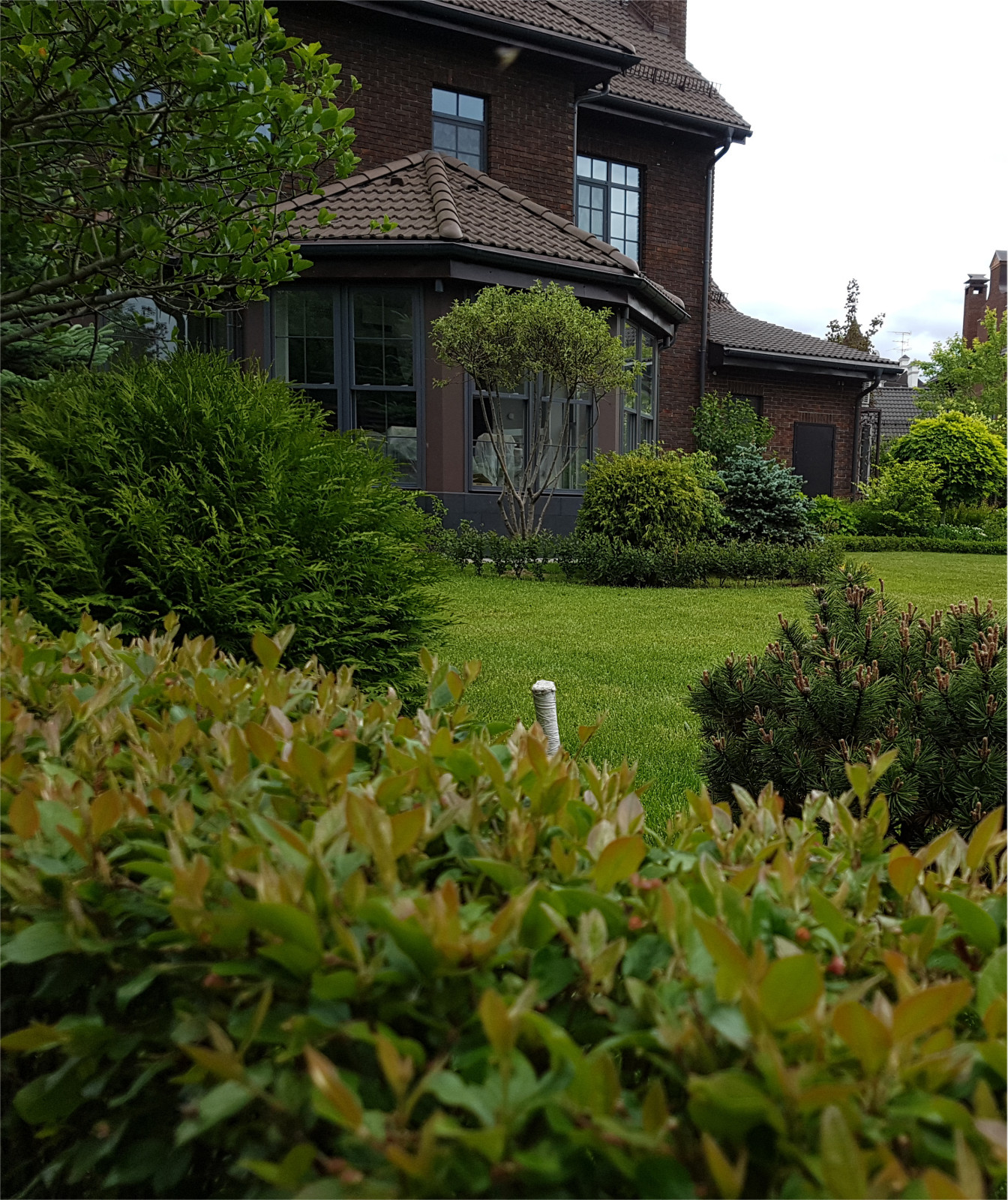 Летово Парк