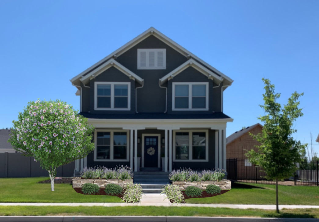 Foundation Plantings