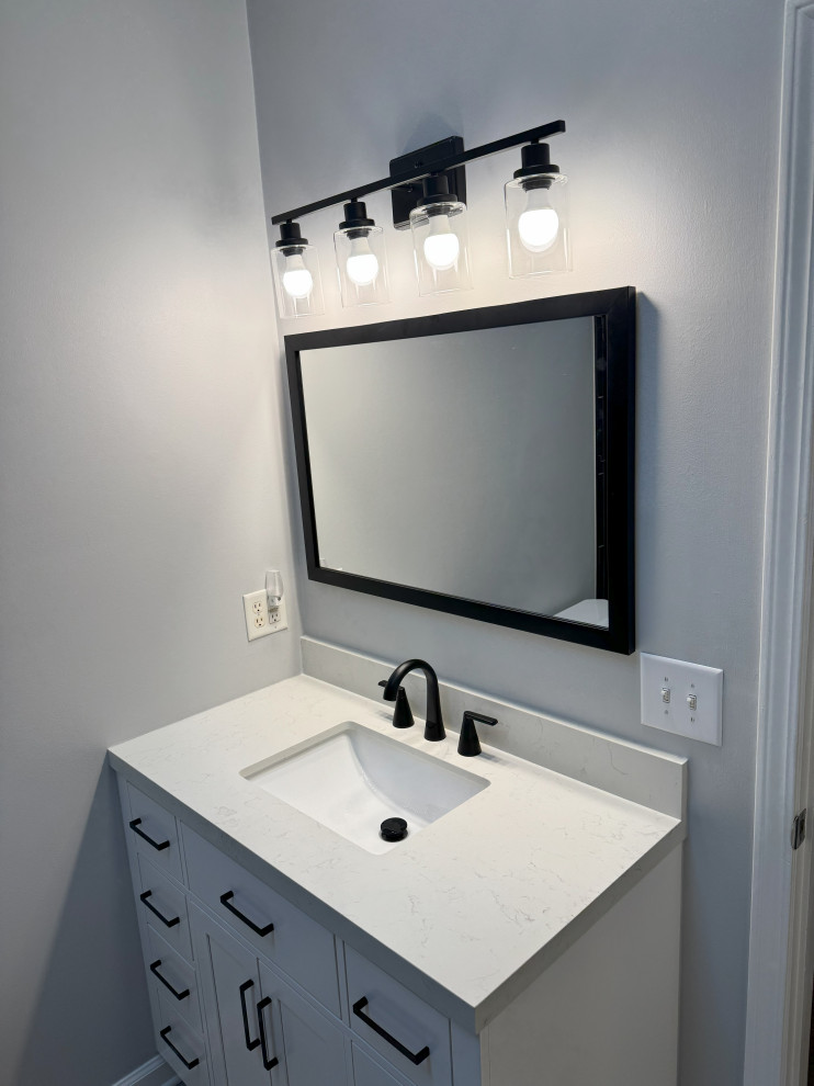Brighton Woods Master Bathroom Remodel
