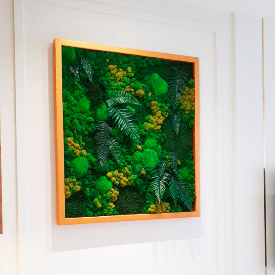 Картина из стабилизированных растений и мха