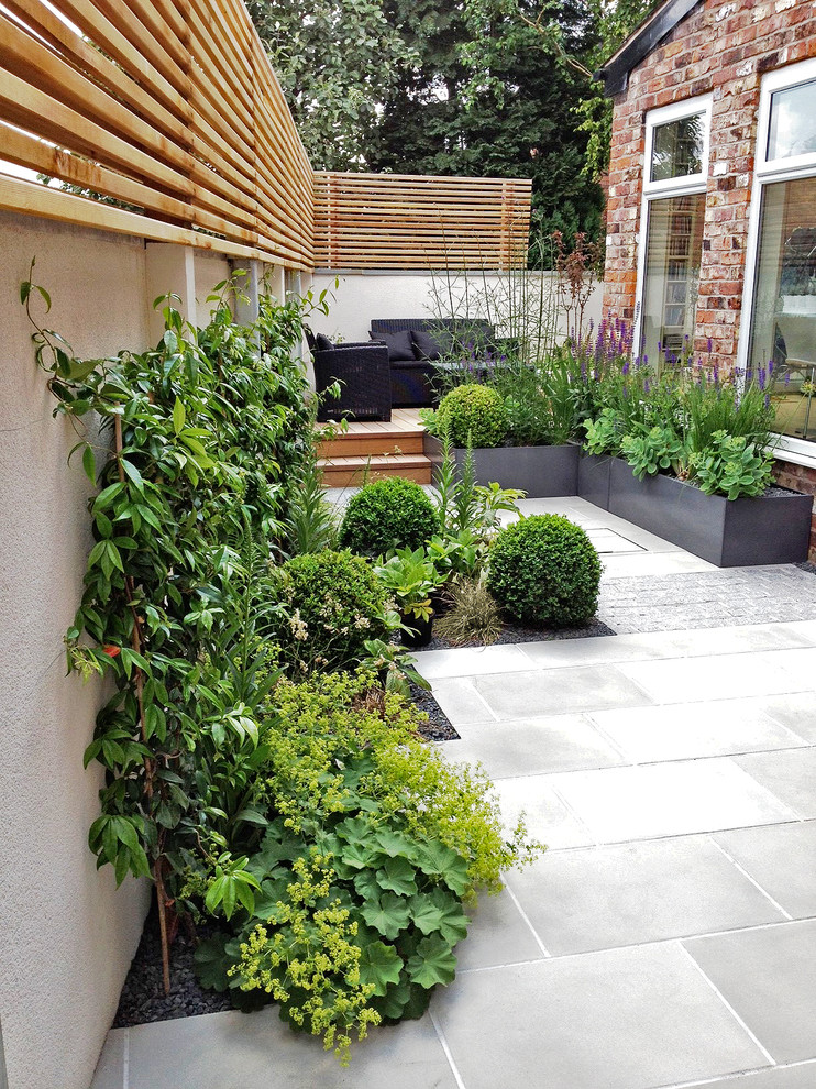 This is an example of a small modern courtyard partial sun formal garden in Manchester with natural stone pavers and a garden path.