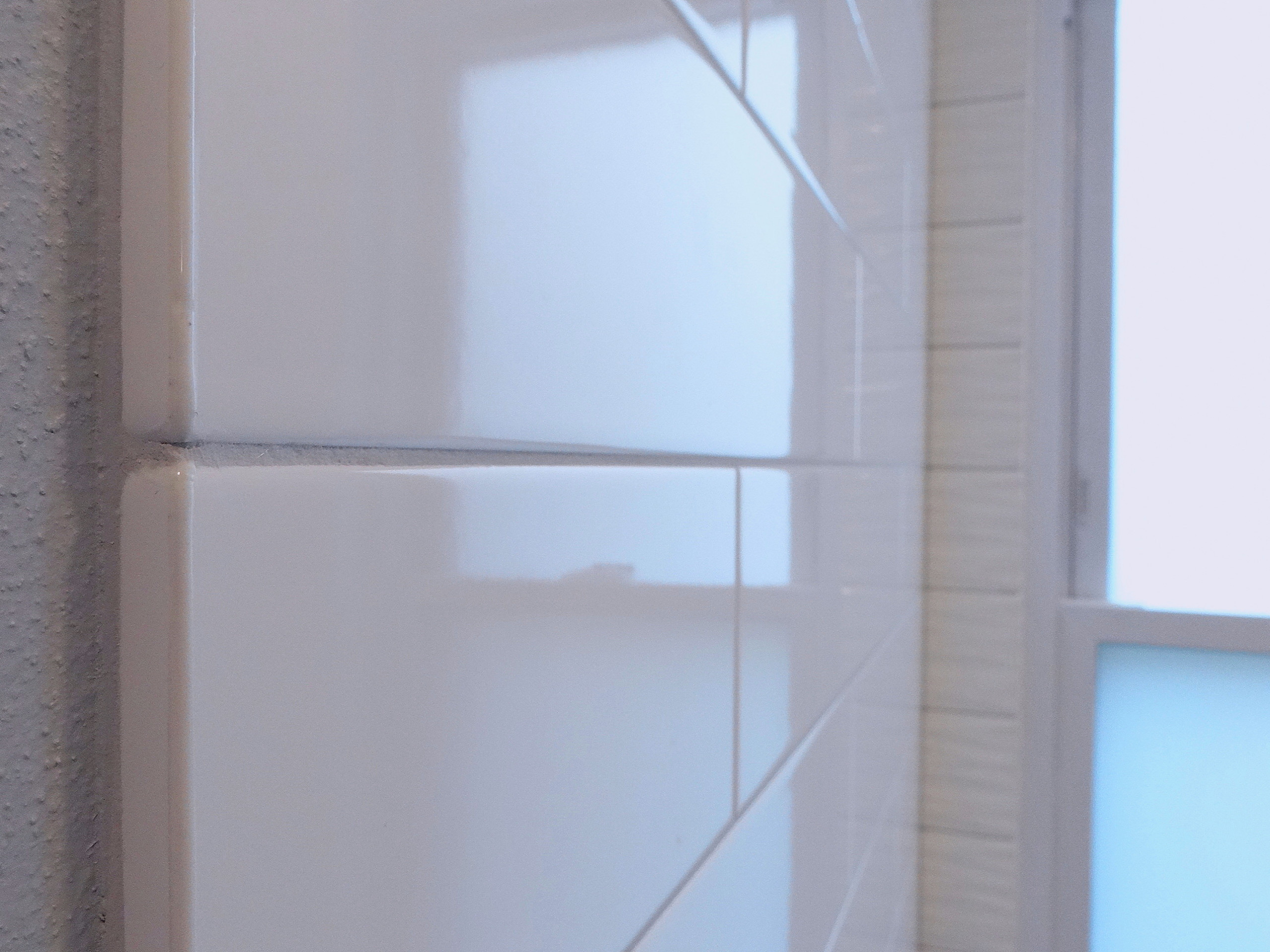 Greendale Residence - Master and Main Bath Remodel