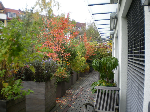 Dachterrassengestaltung München-Au - Modern - Terrasse - München - von