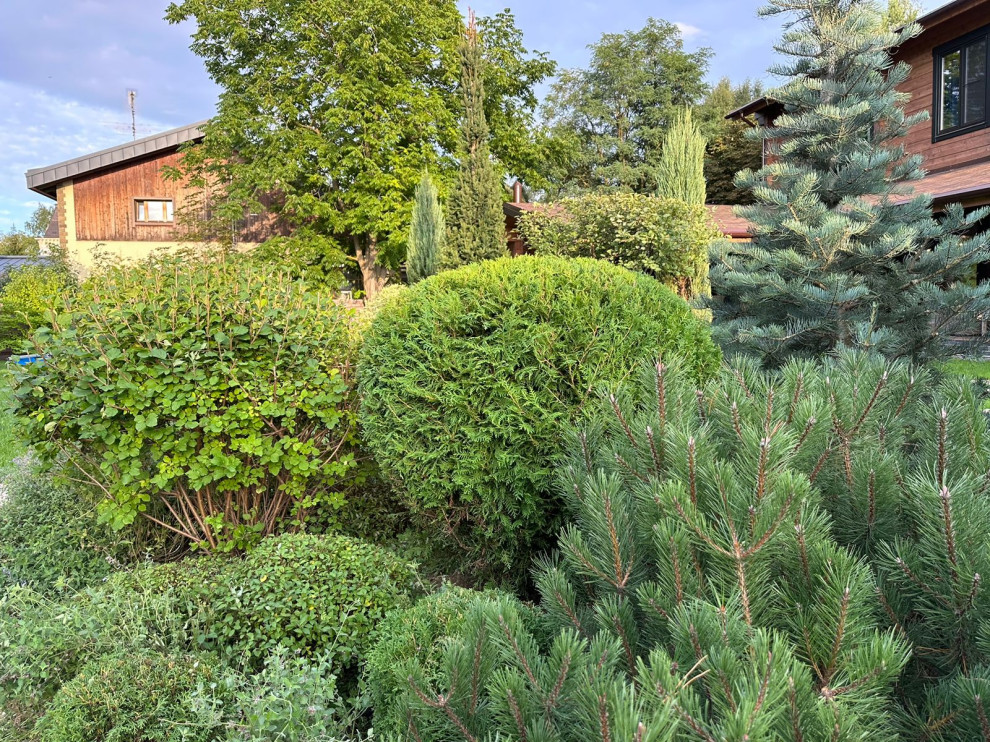 НИВА Ильинское шоссе