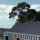 Sydney Wide Roofing Co - Randwick