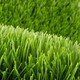 Advanced Grass