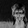 shira_anderson