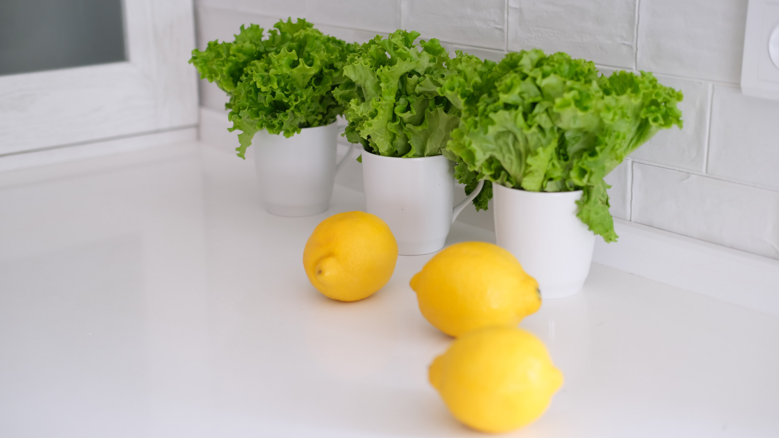 Дом для большой и счастливой семьи