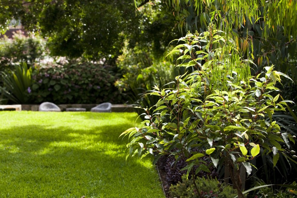 Фото, ландшатный дизайн