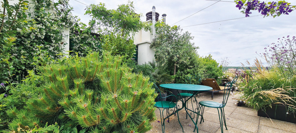 Immagine di un grande patio o portico mediterraneo nel cortile laterale con un giardino in vaso e una pergola