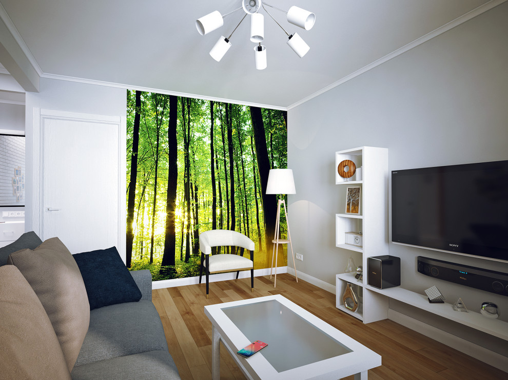 Дизайн-проект интерьера однокомнатной квартиры