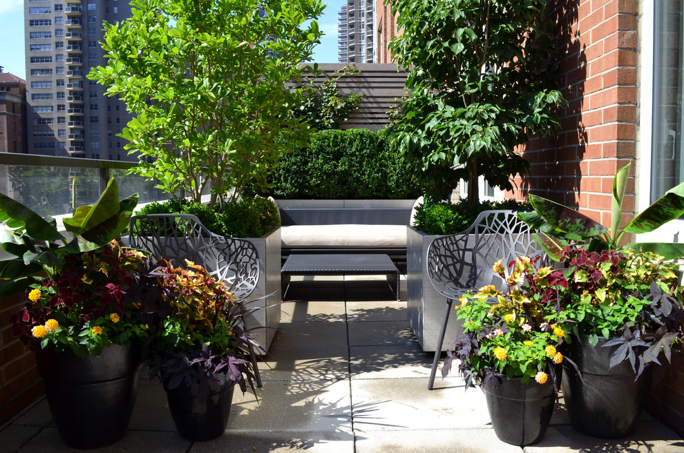 Design ideas for a small traditional garden in New York with a container garden.