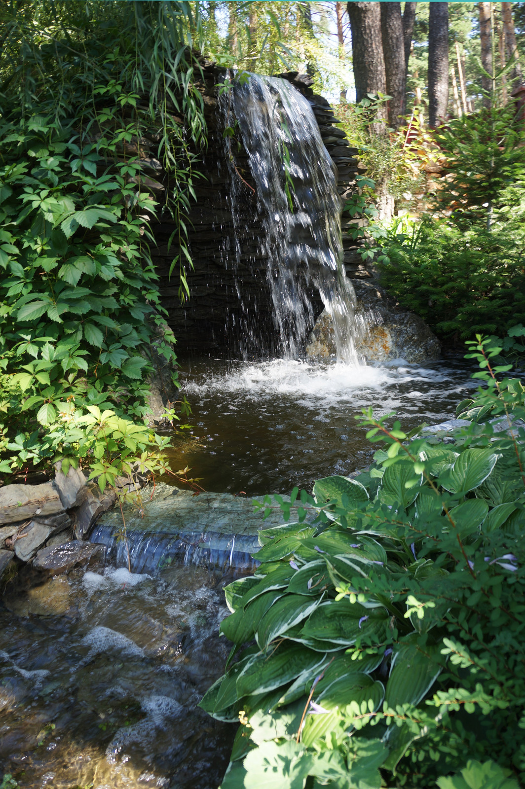 Лесной пейзаж