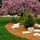 Blue Rain Lawn and Landscaping Services