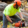 Rose District Tree Removal Services