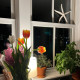 Jo’s Interiors