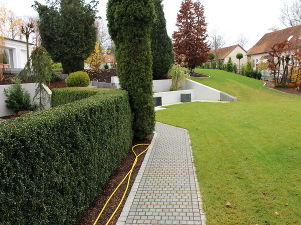 Gartengestaltung garden