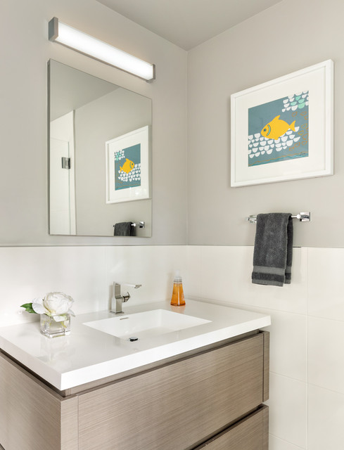 BRITE transitional-bathroom