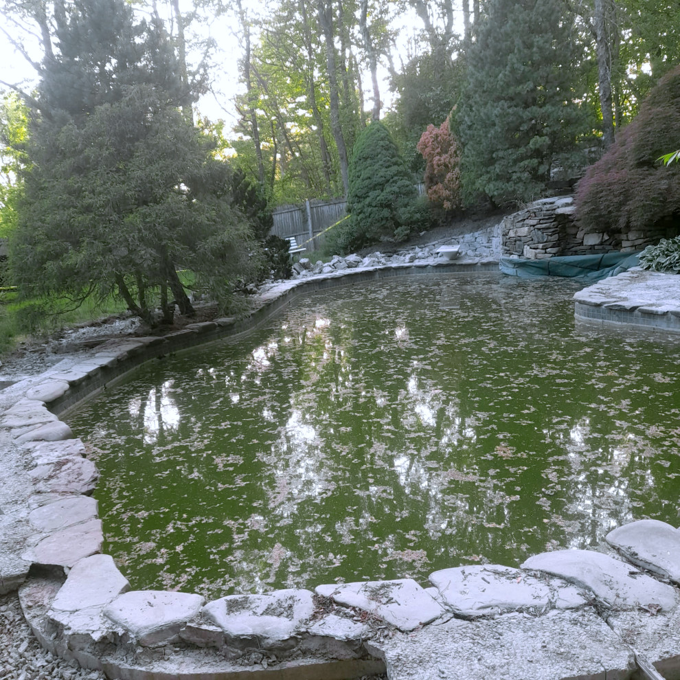 Pool Renovation