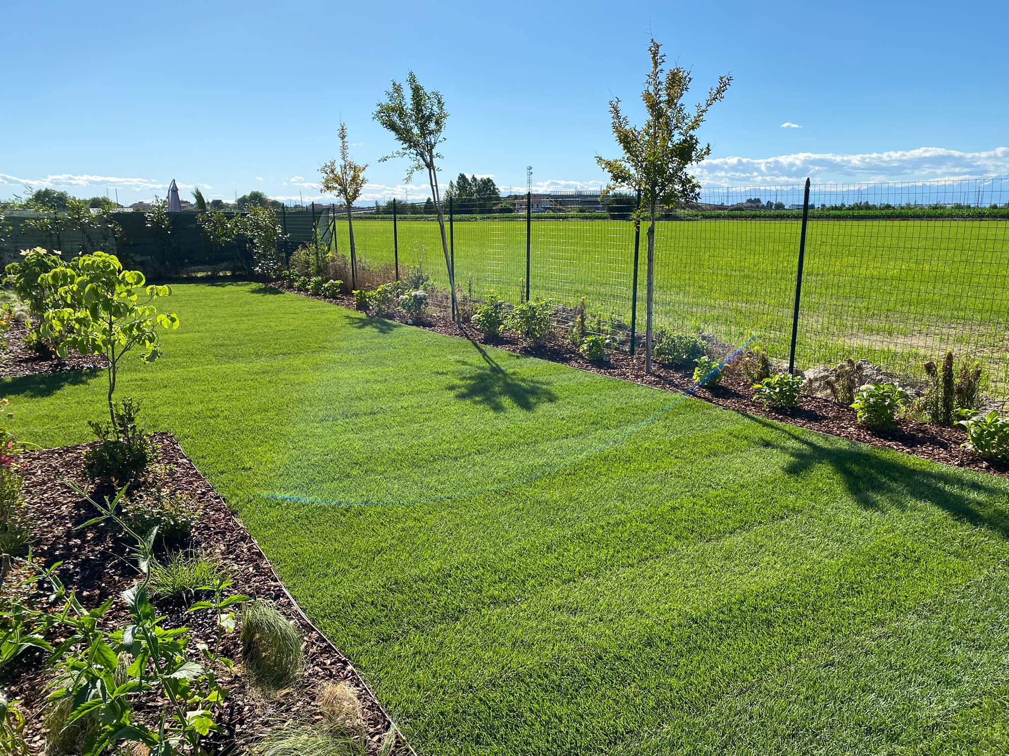 Realizzazione Giardino per villa moderna