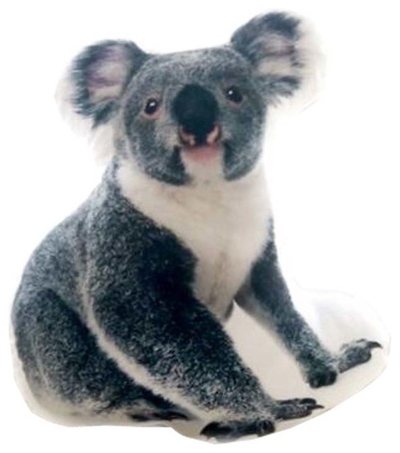 koala pillow pet
