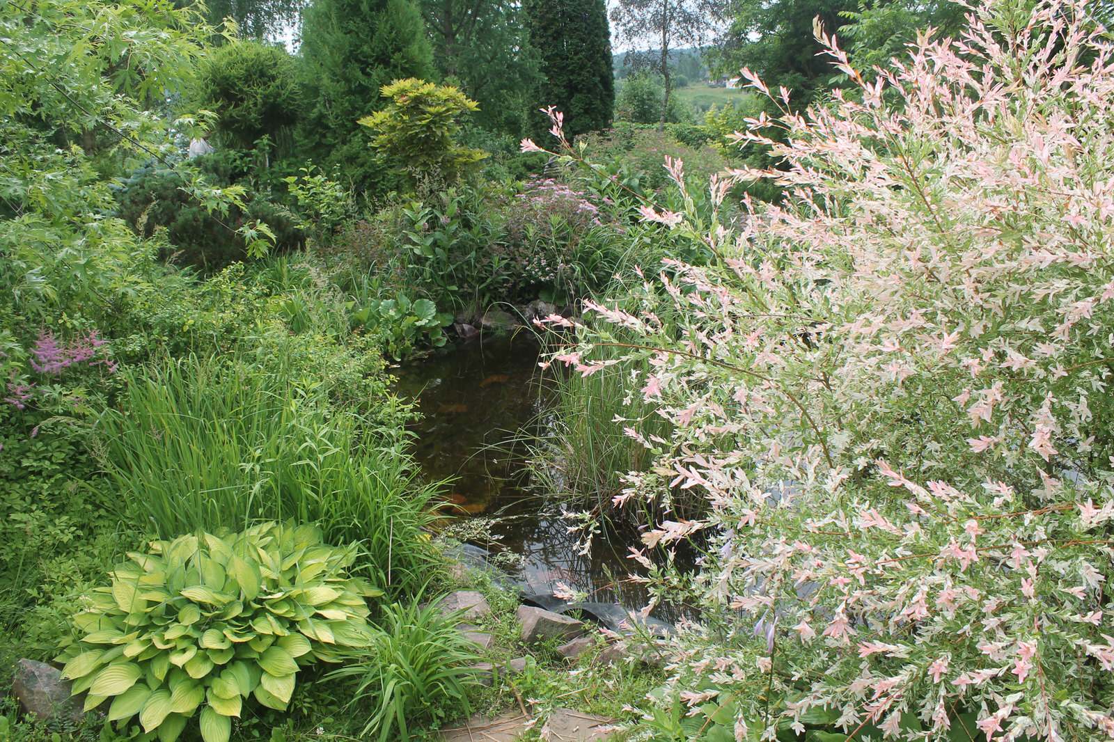 Сад  «Моя цветущая планета».