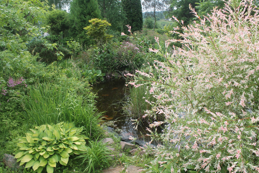 Сад  «Моя цветущая планета».
