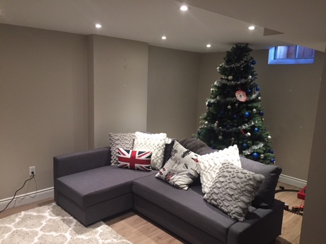 Basement Renovation - Mississauga - December 2107