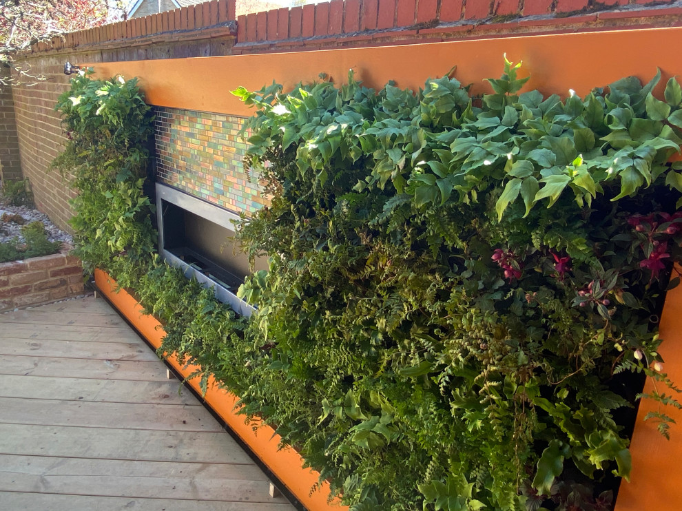 A Beginner’s Guide to Creating a Lush Living Wall in Your Garden | Houzz UK
