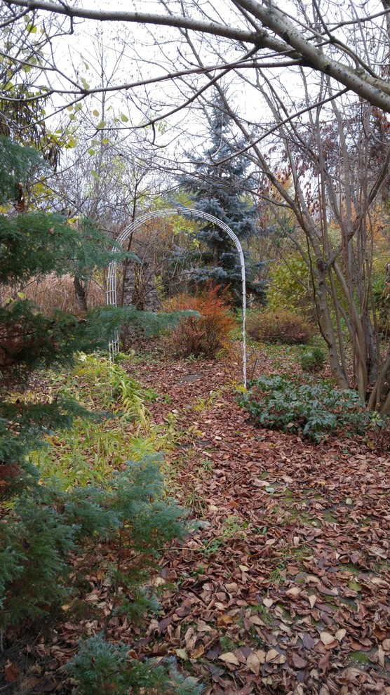 Тропинка в прошлое