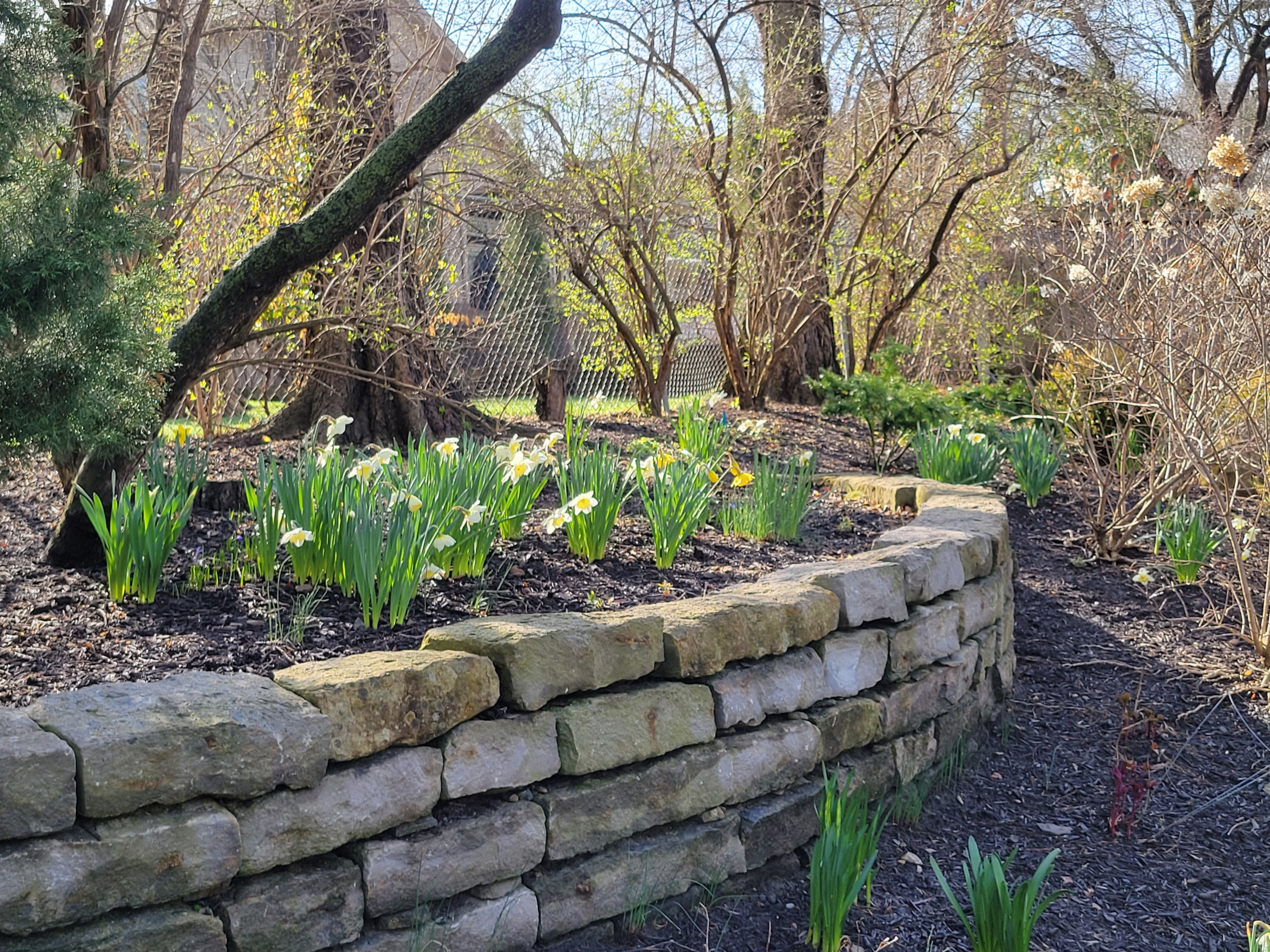 Spring Garden Stroll