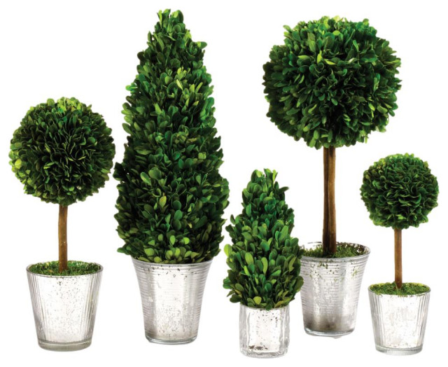 Set of 5 Mini English Topiary Boxwoods in Mercury Glass Pots Tabletop