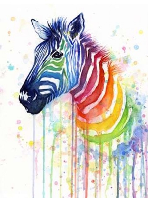 Rainbow Zebra Print Contemporary Prints And Posters By
