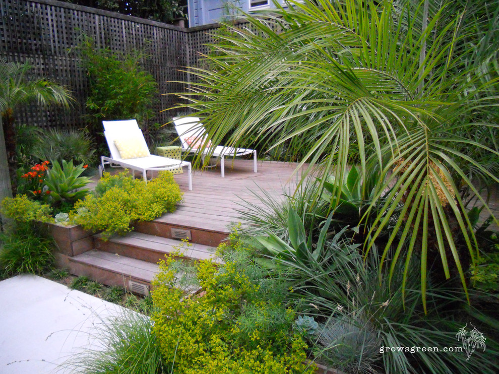 Dolores Park Garden - Modern - San Francisco - by Growsgreen Landscape