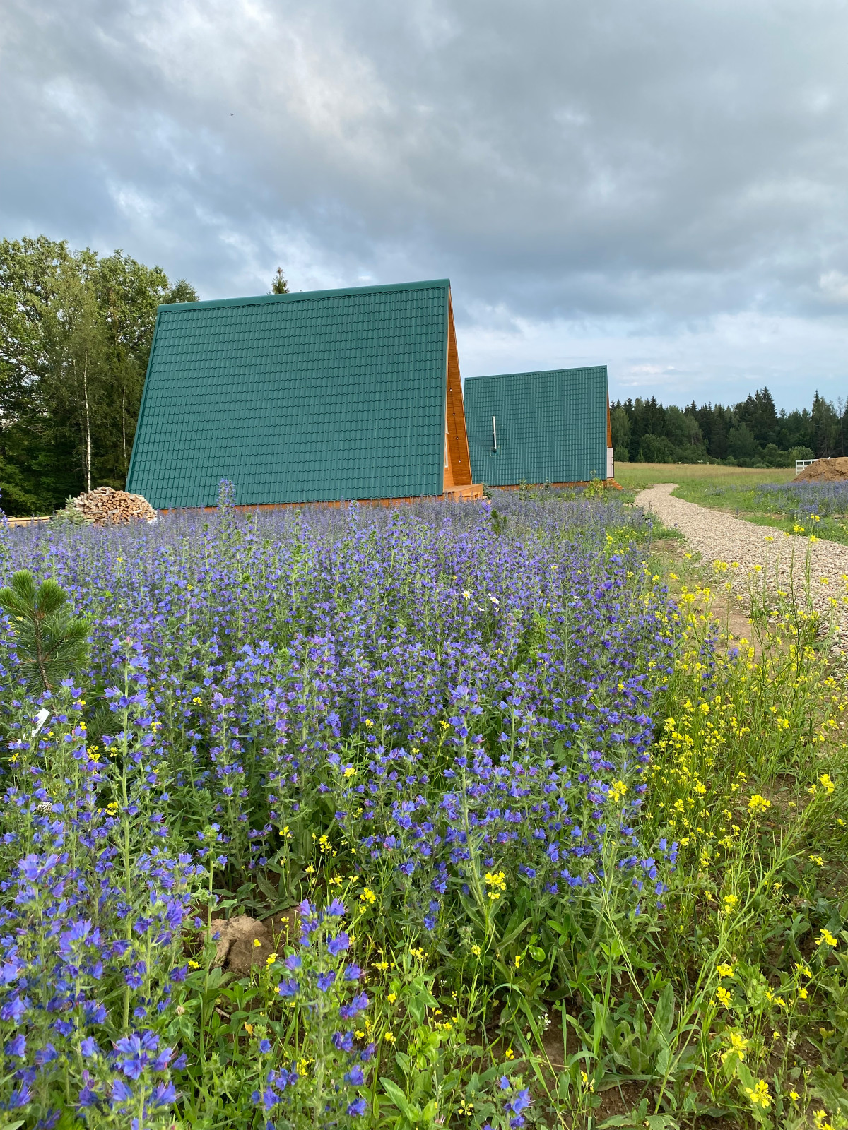 Эко-ферма Федчино