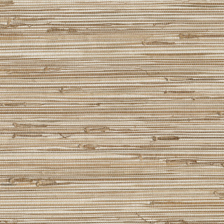 Ting Taupe Grasscloth Wallpaper,, Sample - Contemporary - Wallpaper