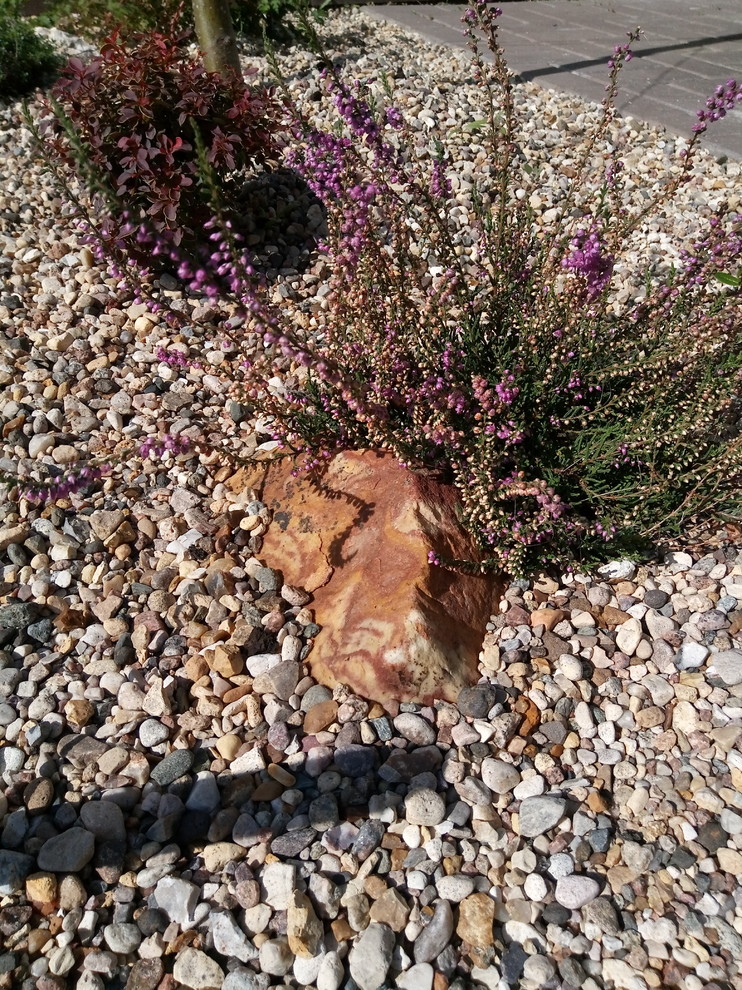 Зелёное удовольствие