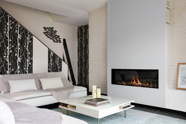 Chemin&eacute;e Gaz contemporary-living-room