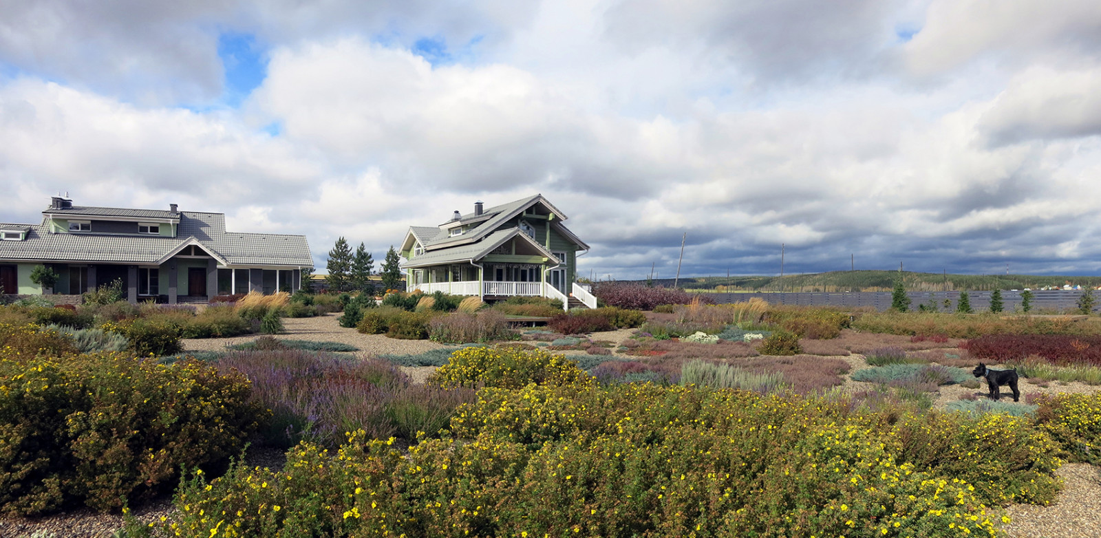 Полынный берег. Новые снимки