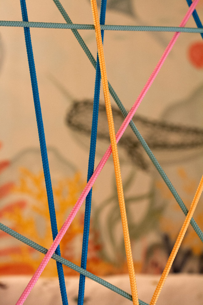 Corde colorate